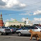 Moscow's Traffic