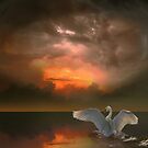 Swan's Dream